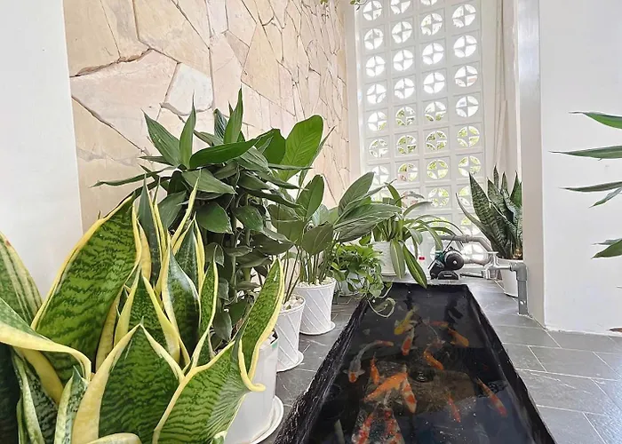 Nad Nguyên Căn Tại *